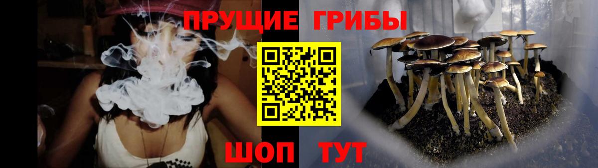 Галлюциногенные грибы прущие грибы Кудрово