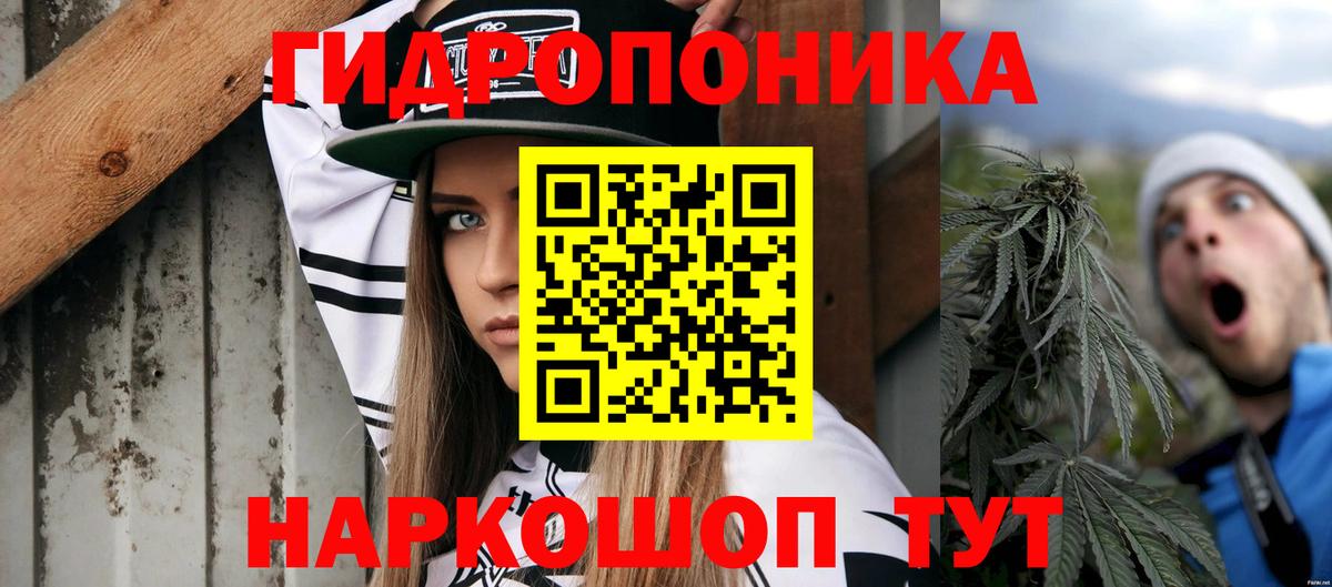 Канабис MAZAR  Вход с VPN  Кудрово  Конопля гибрид  Марихуана тримм 